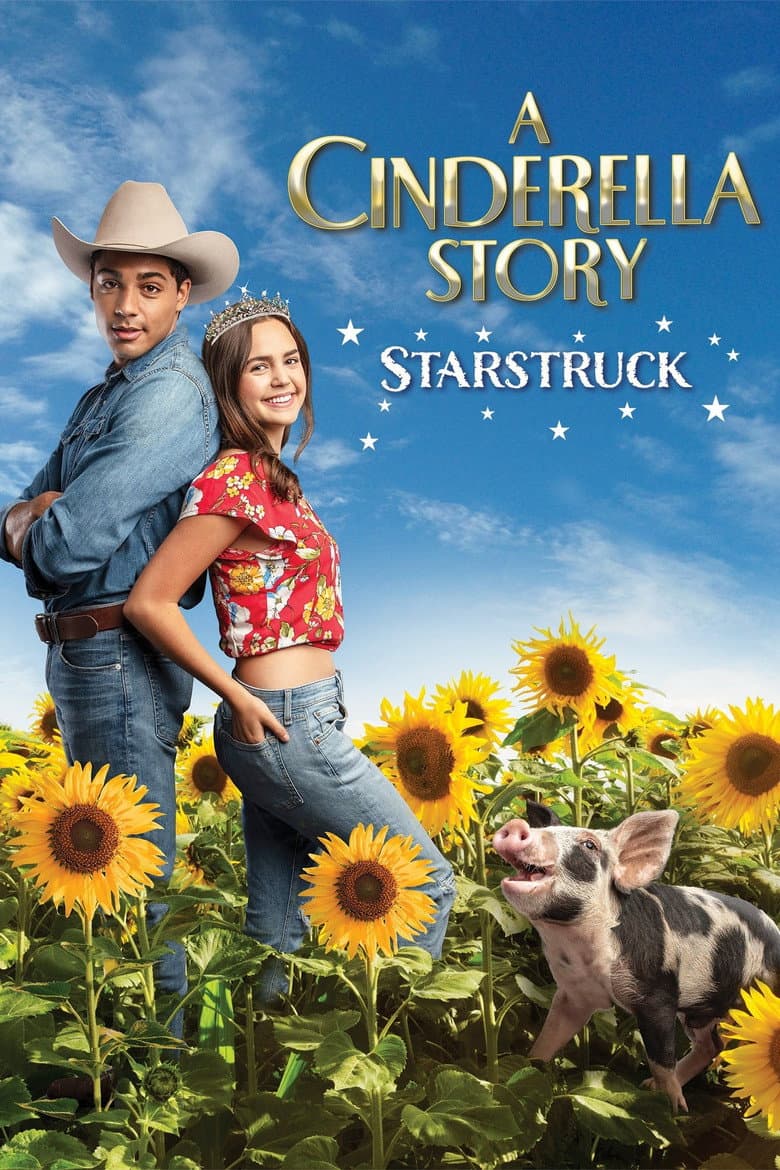 A Cinderella Story: Starstruck — posters 2