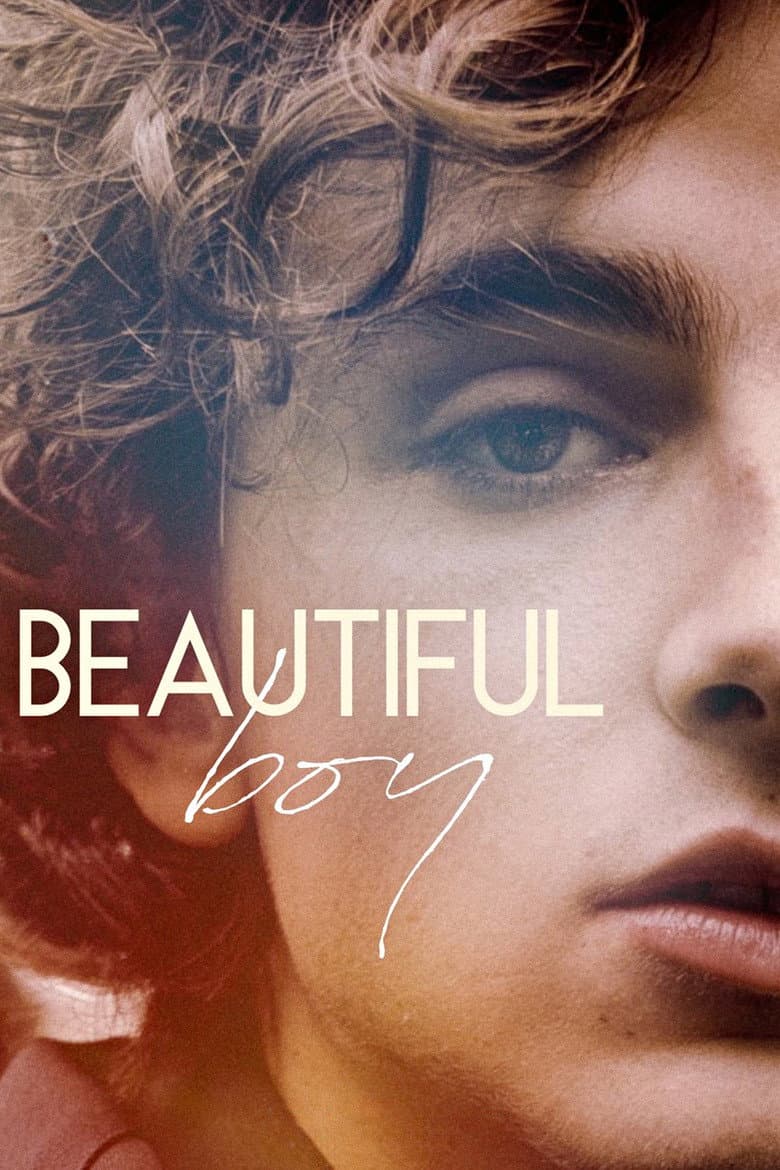 Beautiful Boy — posters 6