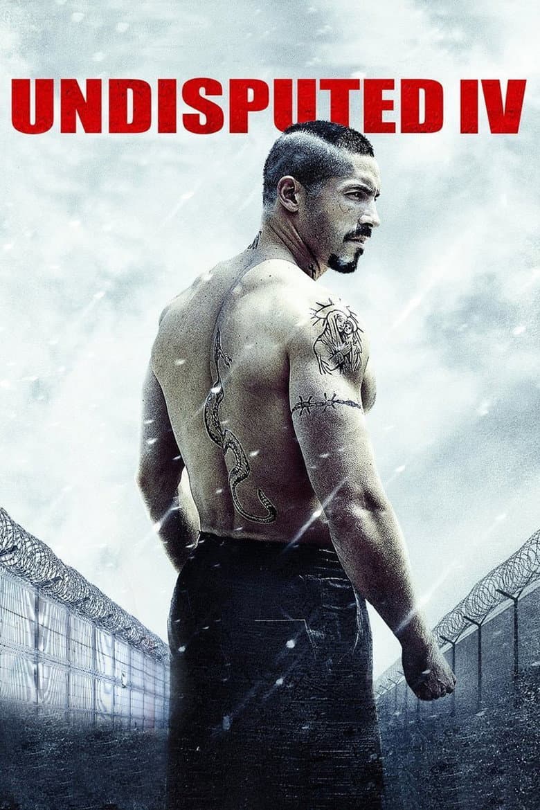 Boyka: Undisputed IV — posters 2