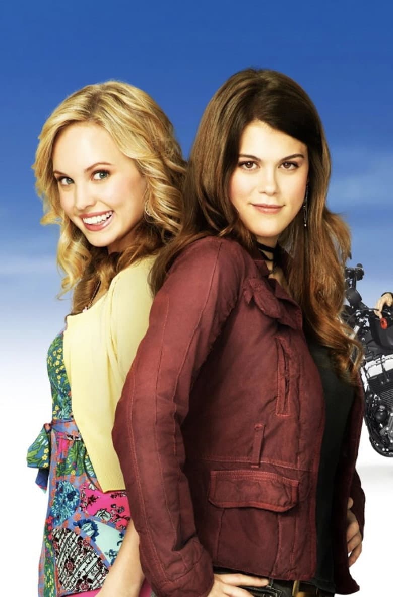 10 Things I Hate About You — posters 6
