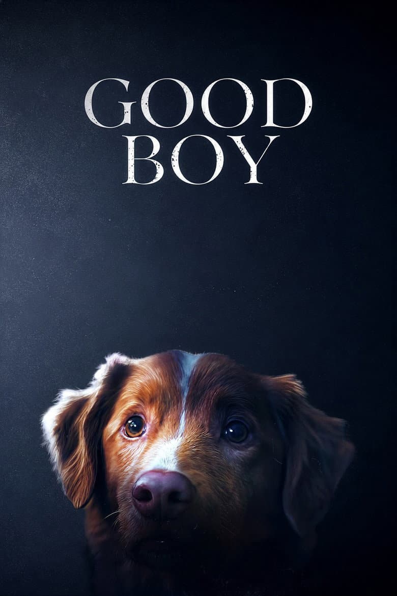 Good Boy — posters 7
