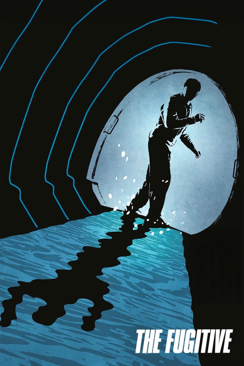The Fugitive — posters 2