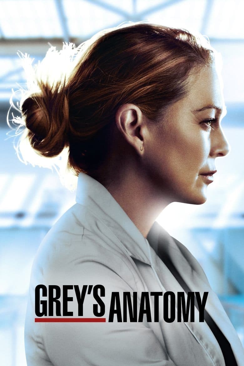 Grey's Anatomy — posters 3