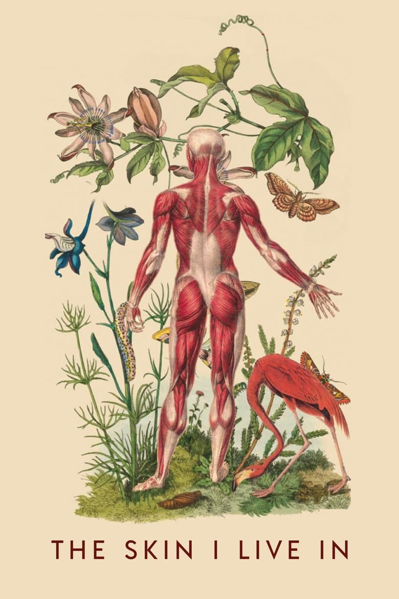 The Skin I Live In — posters 8