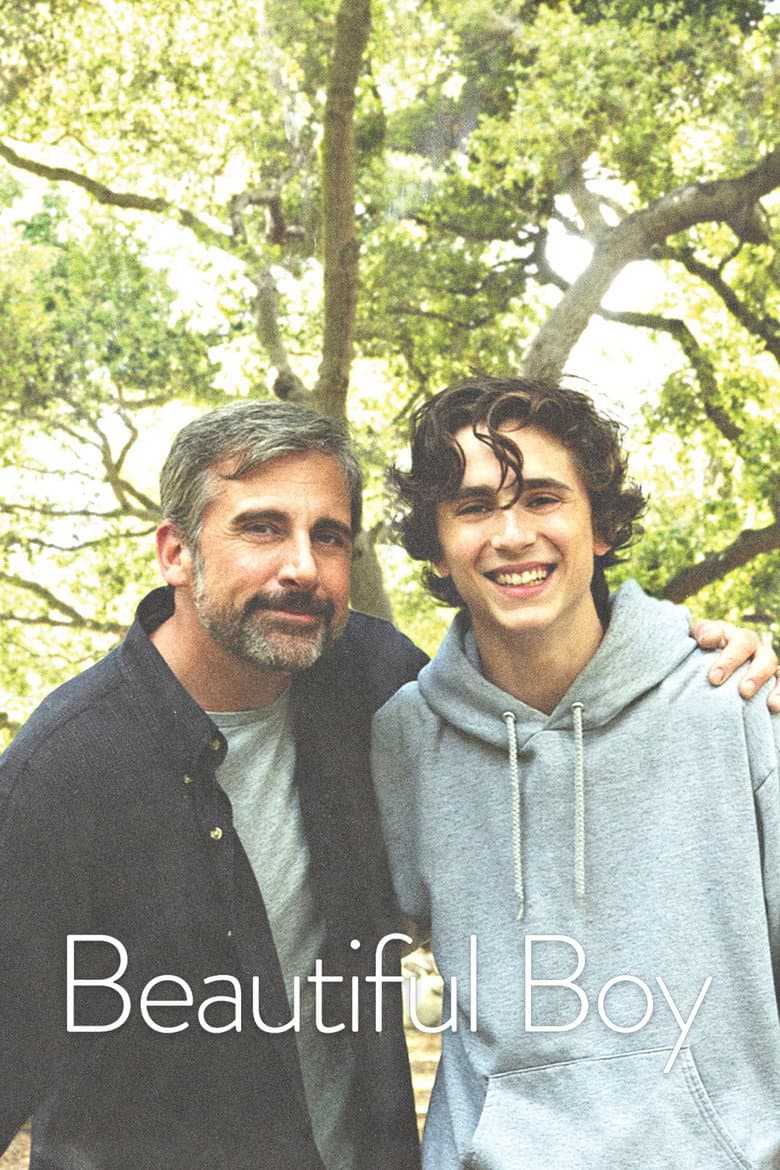 Beautiful Boy — posters 7