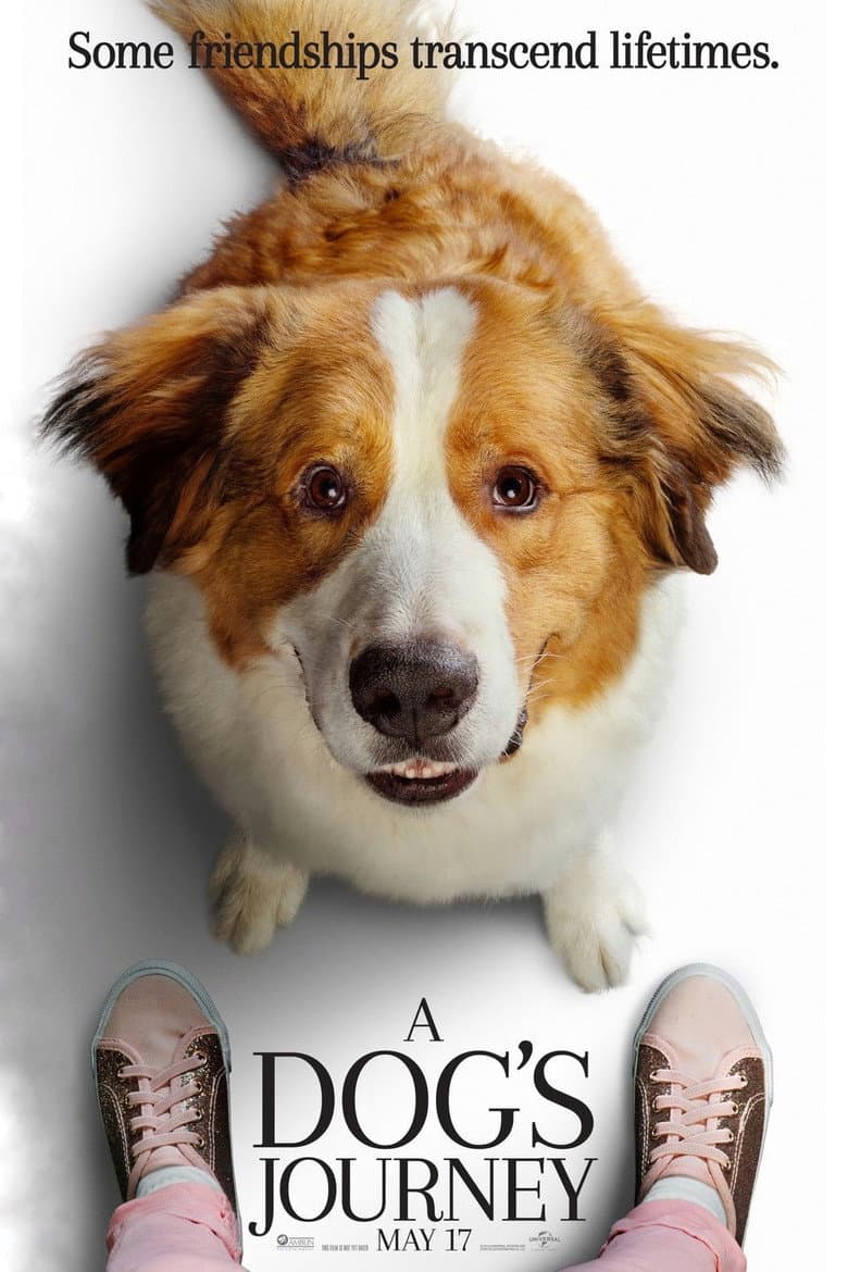 A Dog's Journey — posters 5