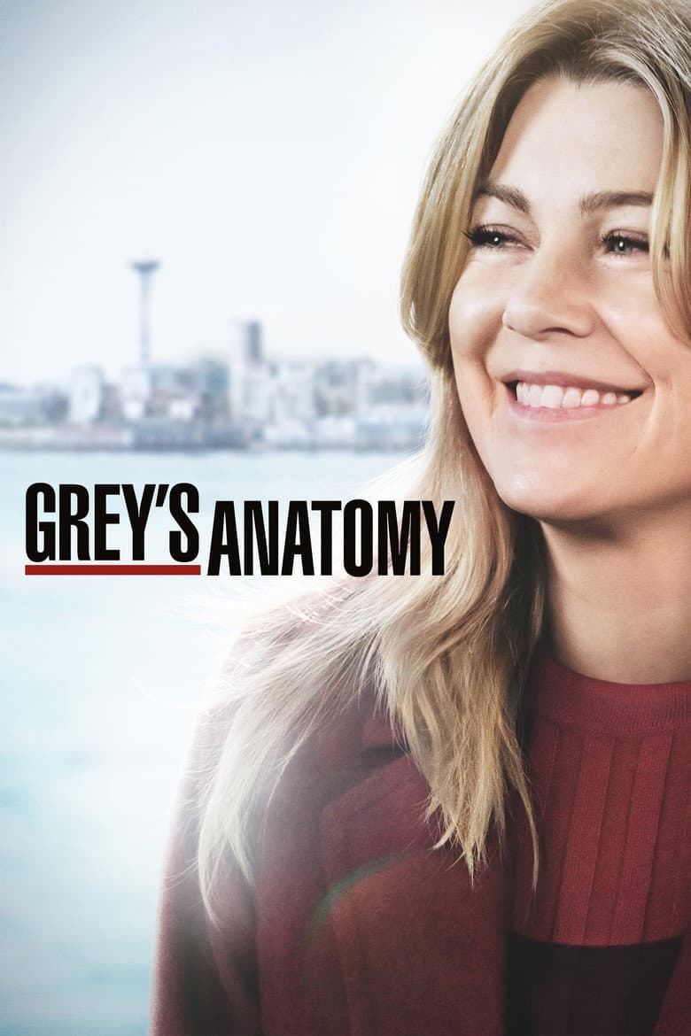 Grey's Anatomy — posters 4