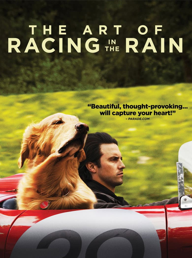 The Art of Racing in the Rain — posters 7