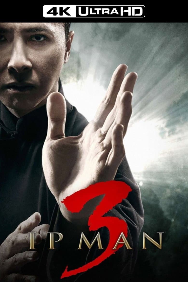 Ip Man 3 — posters 5