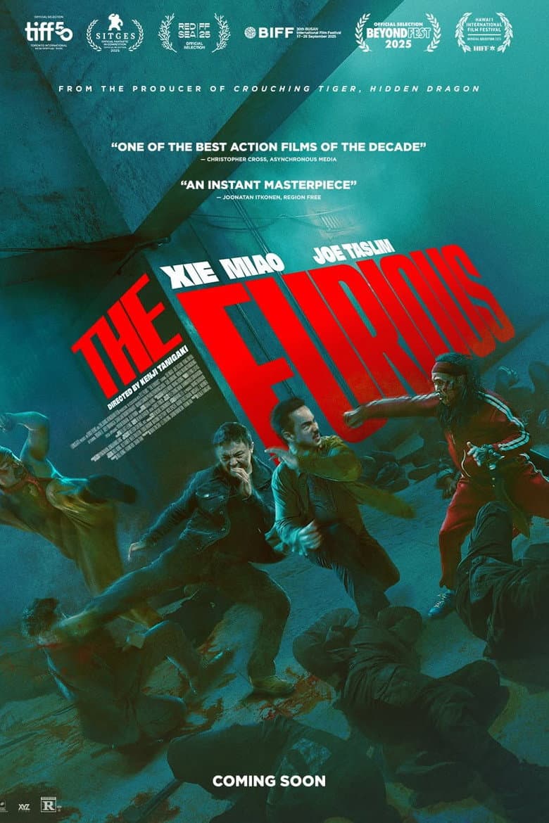The Furious — posters 6