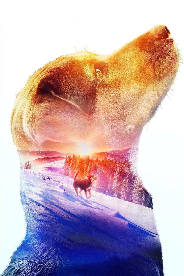 A Dog's Way Home — posters 3