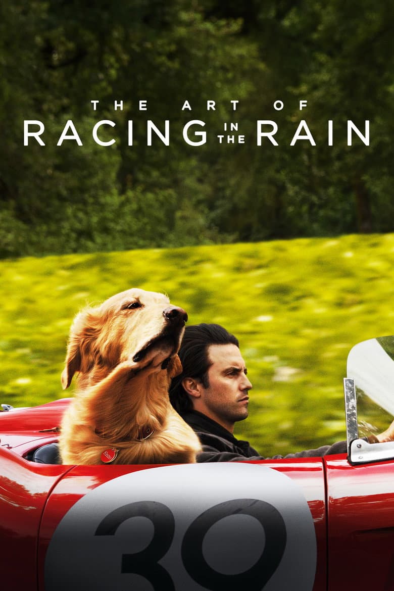 The Art of Racing in the Rain — posters 3