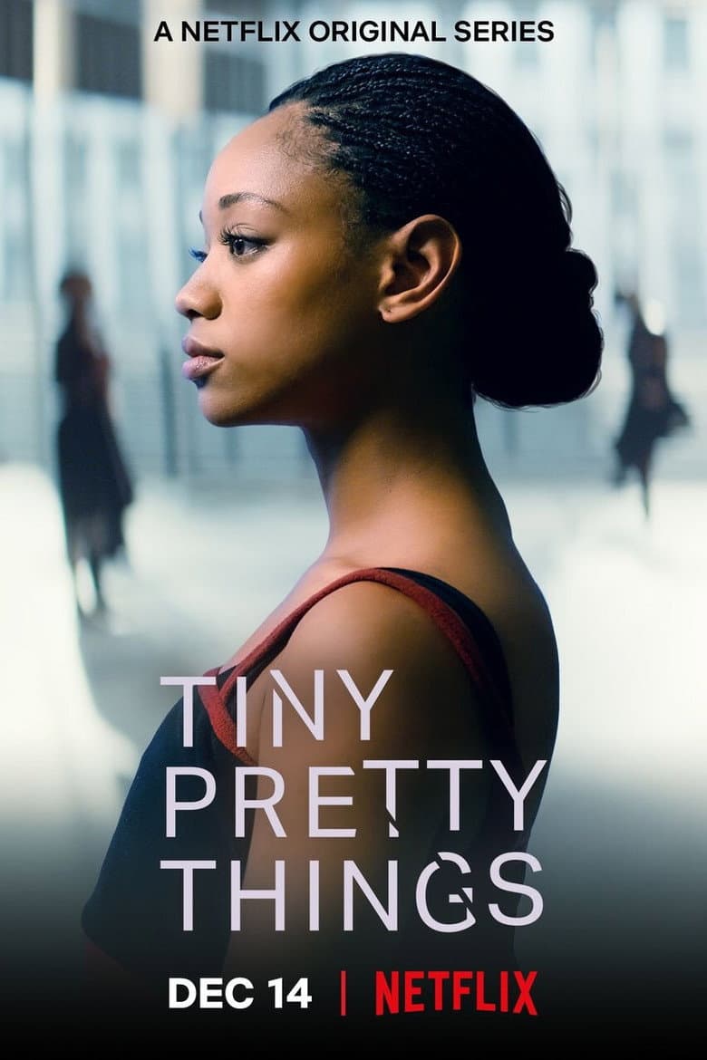 Tiny Pretty Things — posters 3
