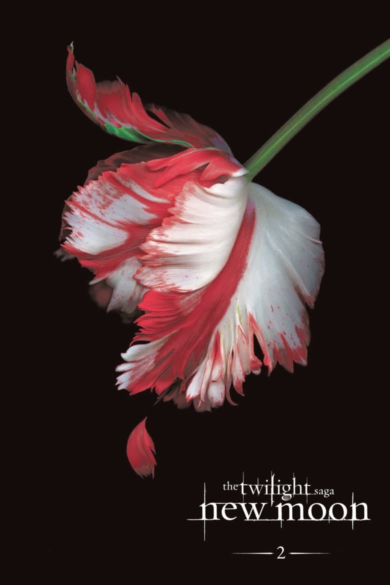 The Twilight Saga: New Moon — posters 3