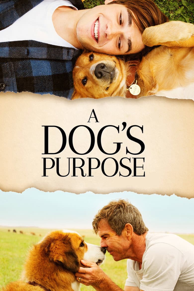 A Dog's Purpose — posters 3