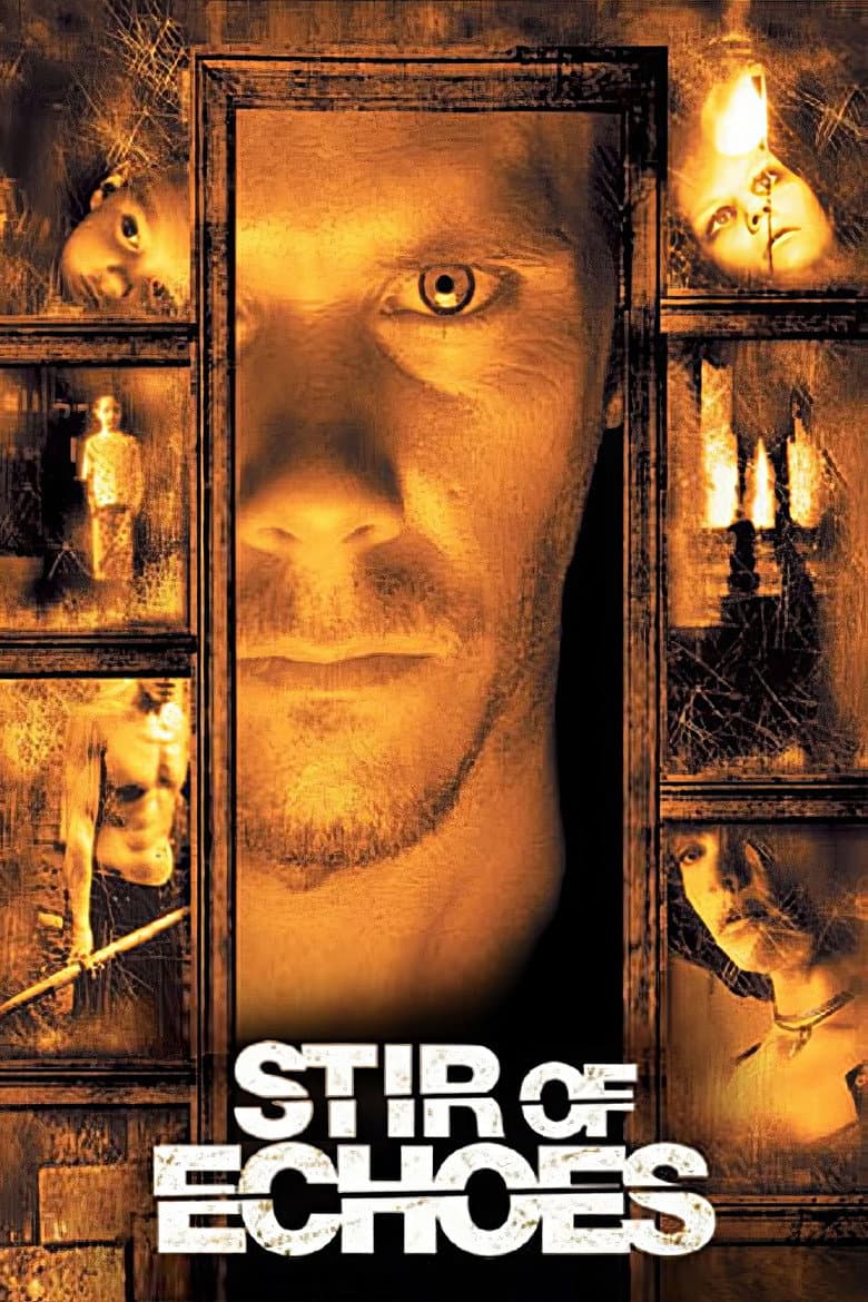 Stir of Echoes — posters 5