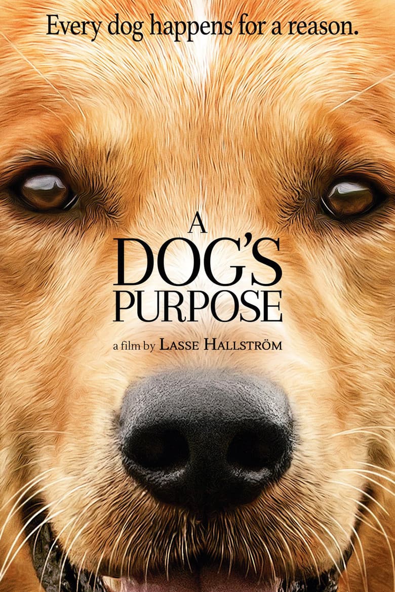 A Dog's Purpose — posters 8