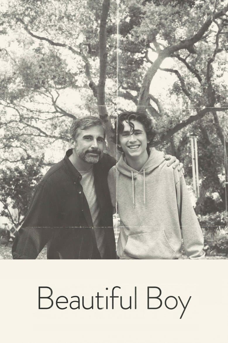 Beautiful Boy — posters 2