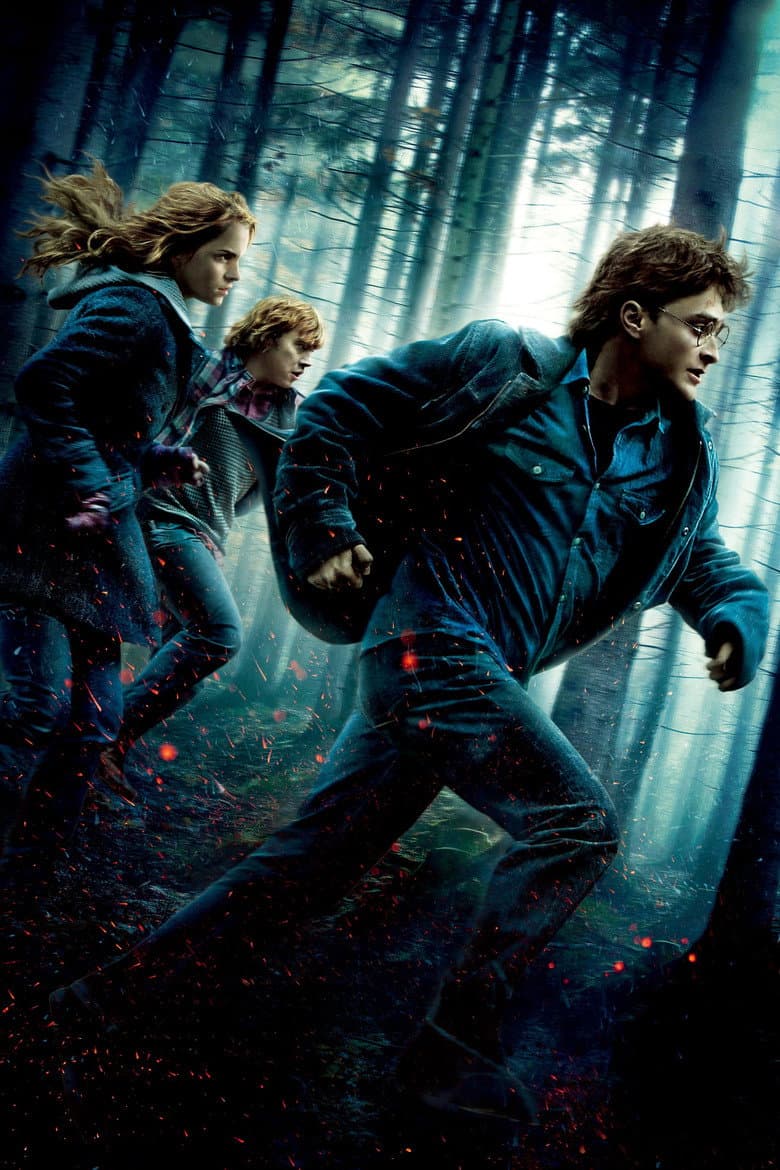 Harry Potter and the Deathly Hallows: Part 1 — posters 7