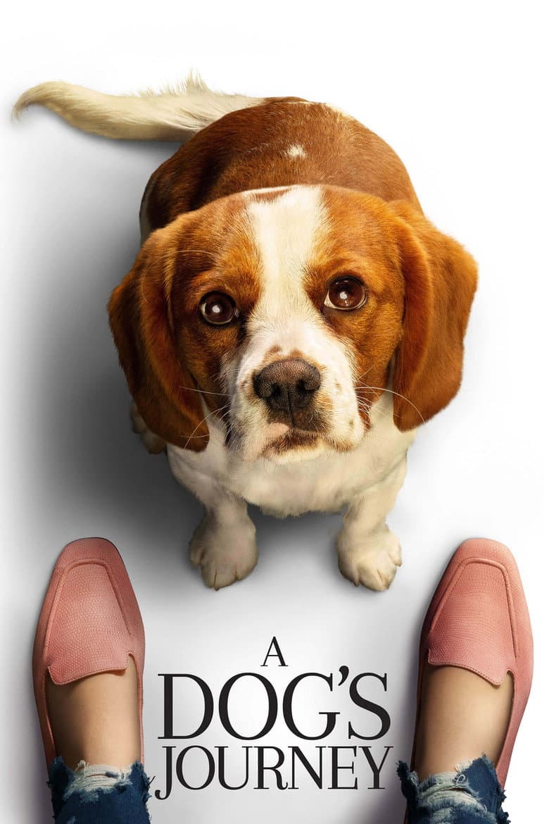 A Dog's Journey — posters 7