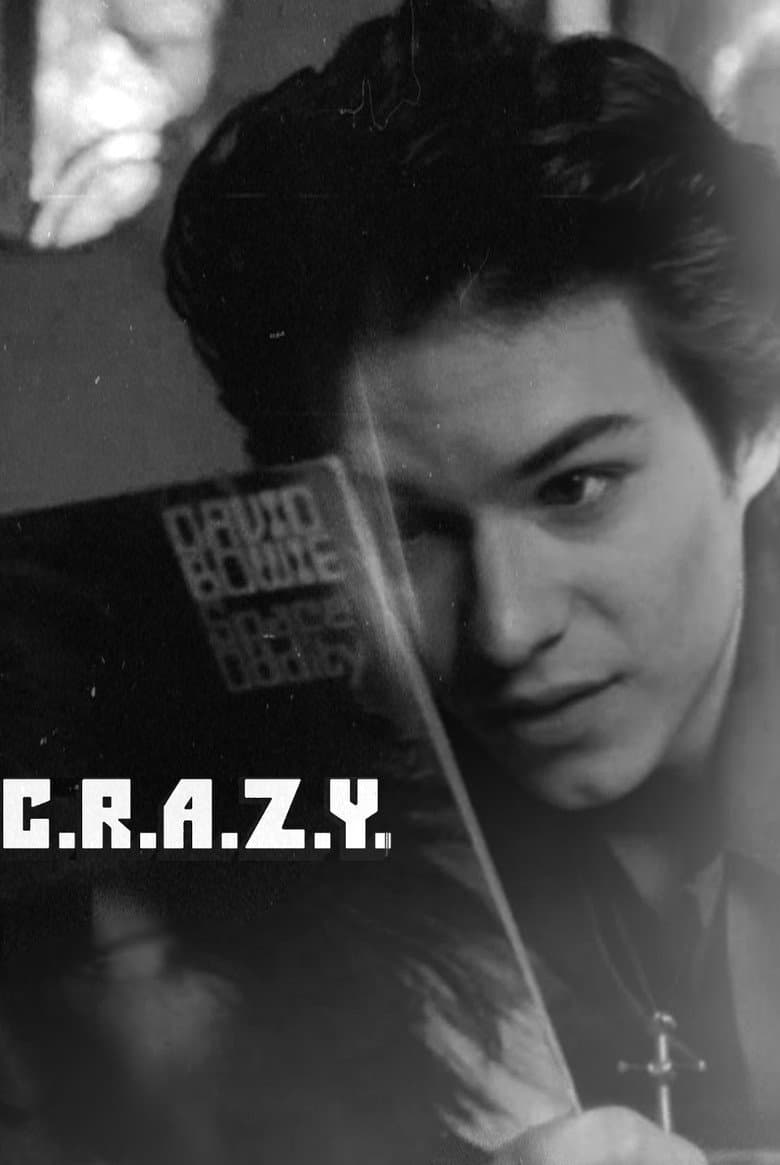 C.R.A.Z.Y. — posters 3