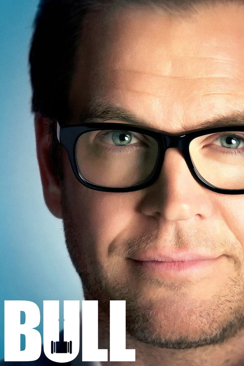Bull — posters 7