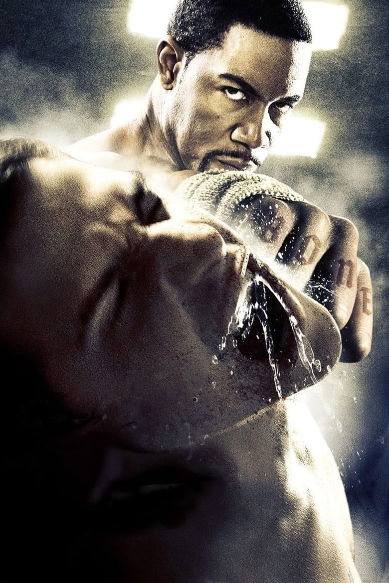 Blood and Bone — posters 4