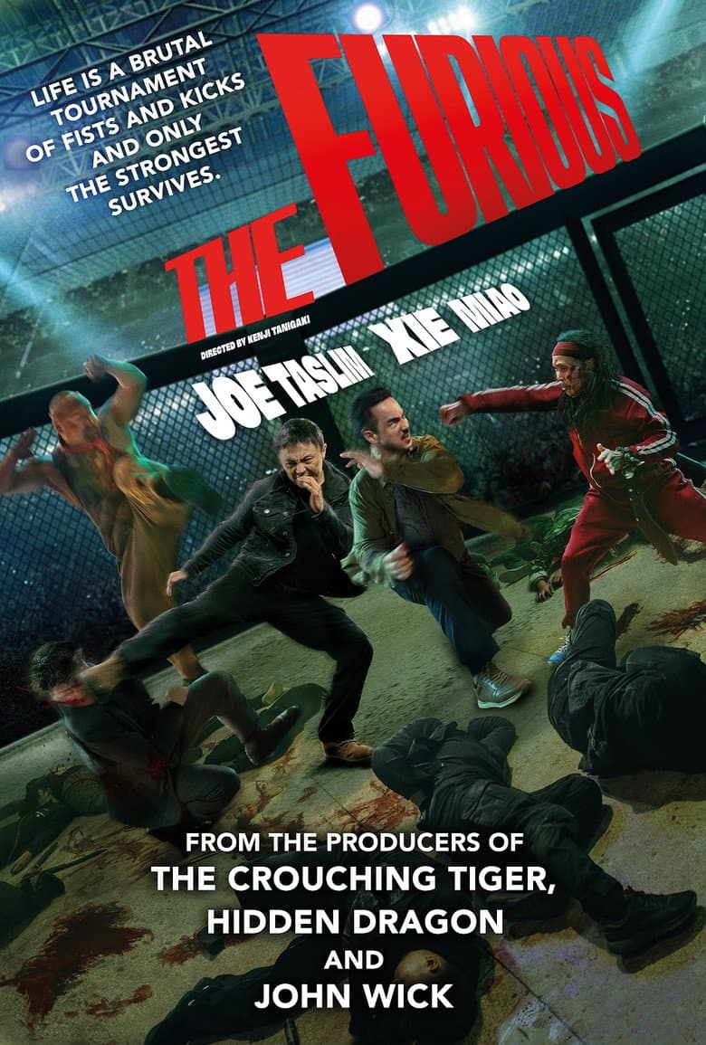 The Furious — posters 3