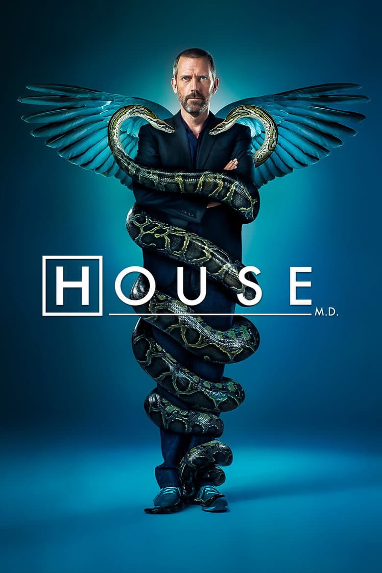 House — posters 8