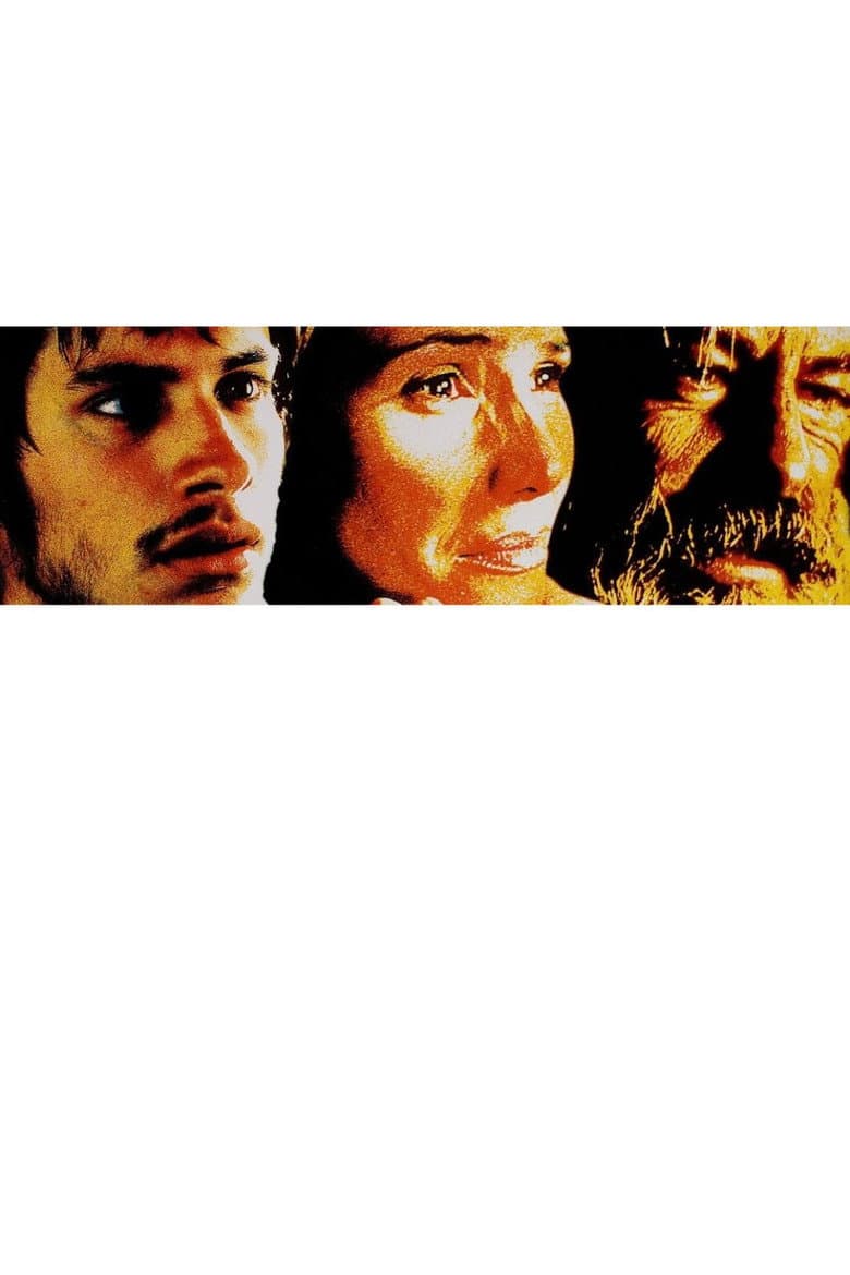 Amores Perros — posters 3