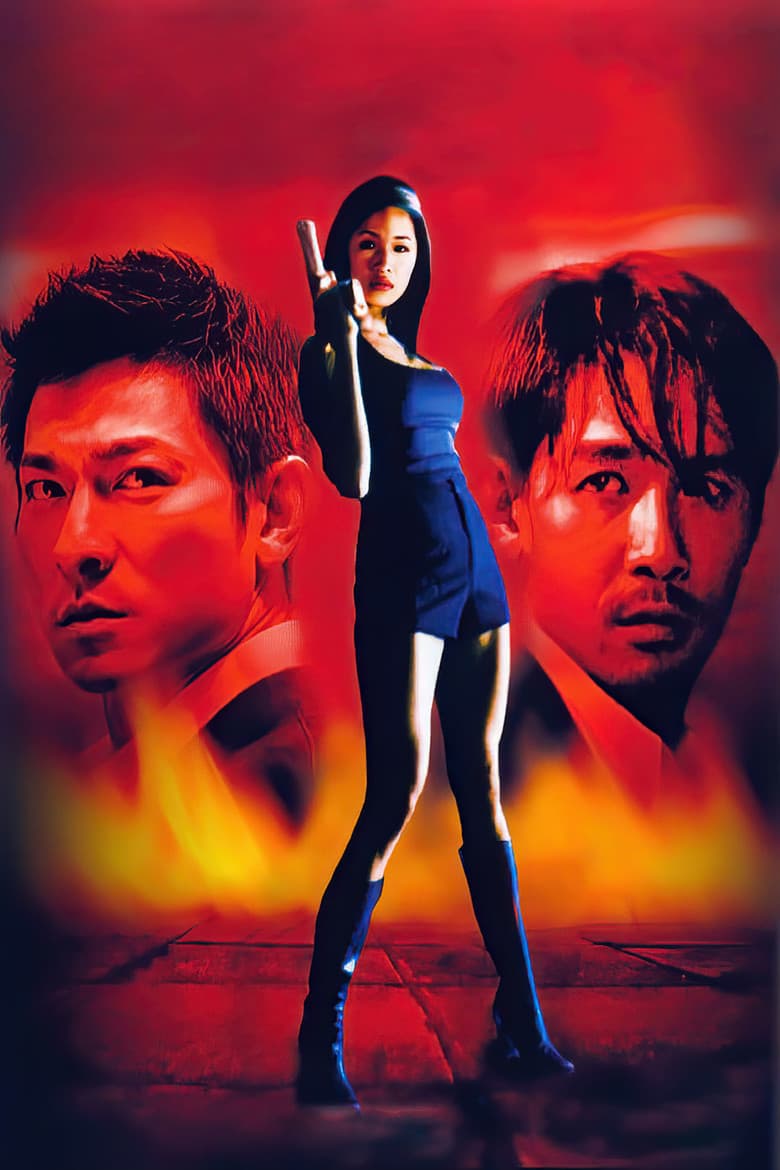 Infernal Affairs — posters 6