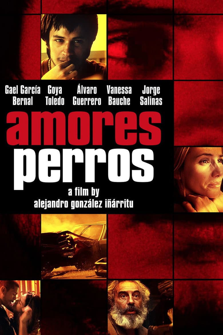Amores Perros — posters 4