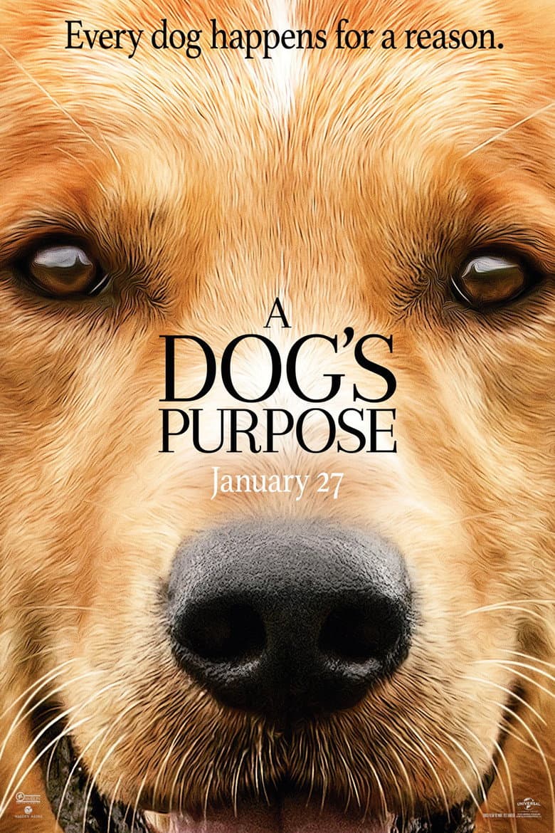 A Dog's Purpose — posters 6