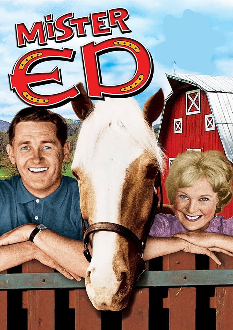 Mister Ed — posters 3
