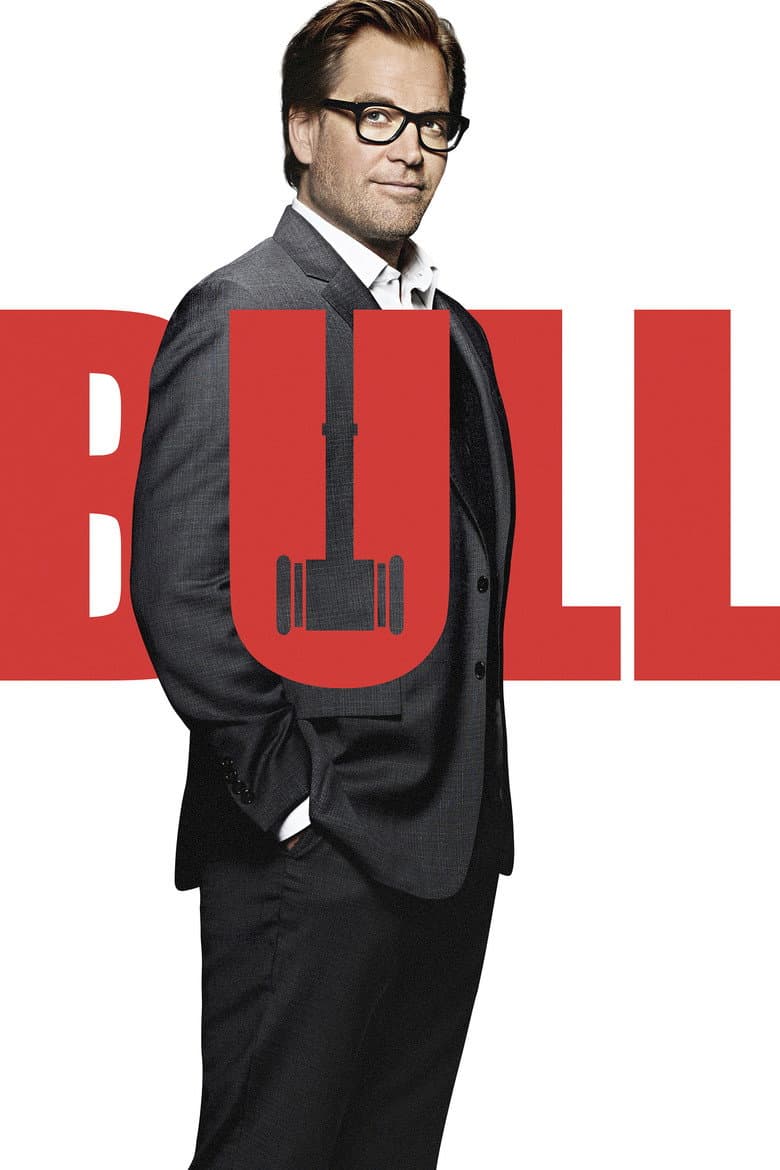 Bull — posters 8