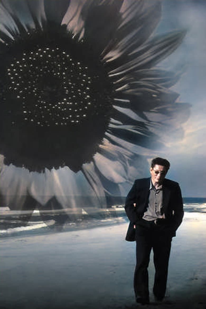 Fireworks — posters 2