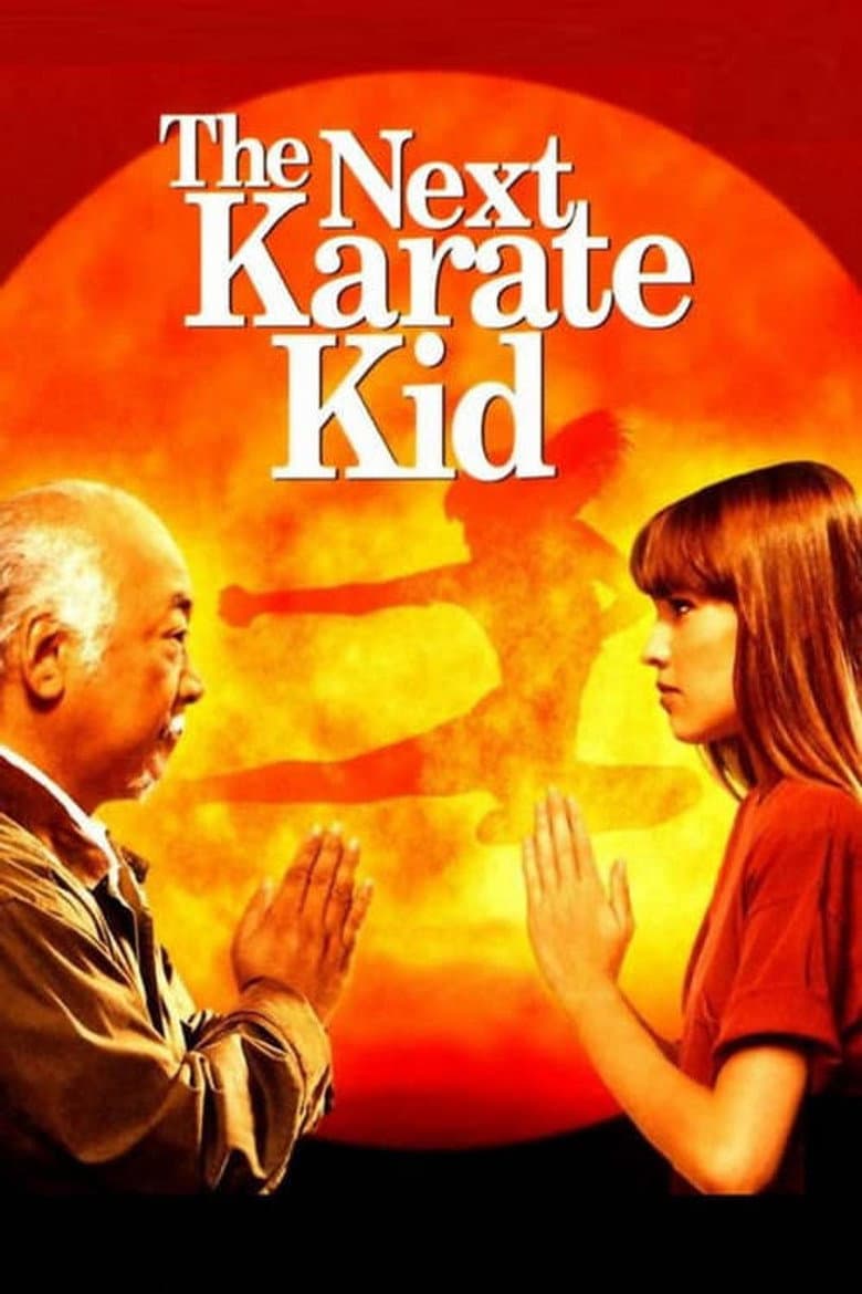 The Next Karate Kid — posters 7