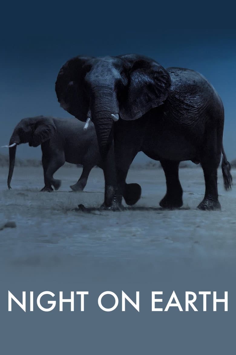 Night on Earth — posters 4