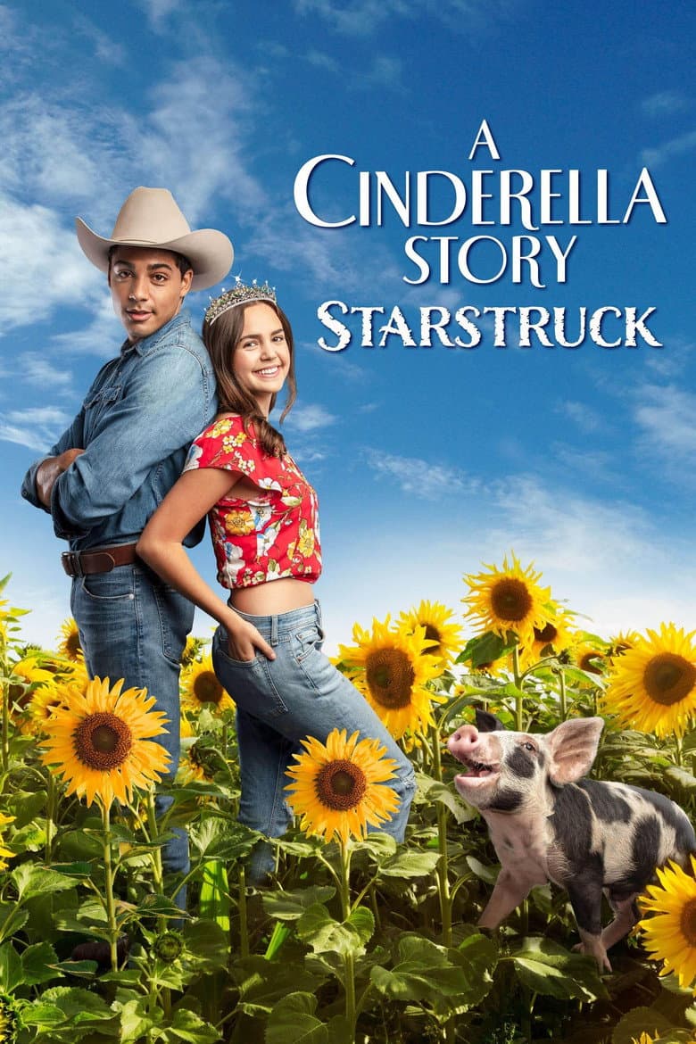 A Cinderella Story: Starstruck — posters 3