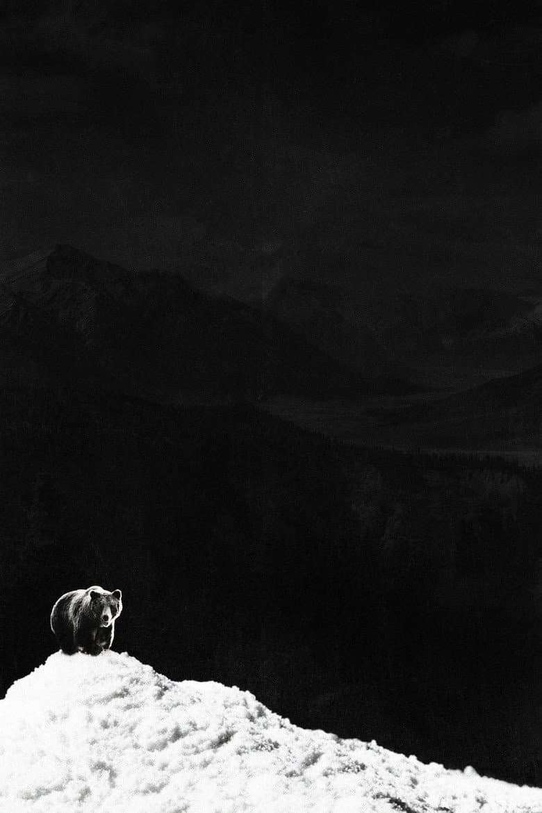Cocaine Bear — posters 3