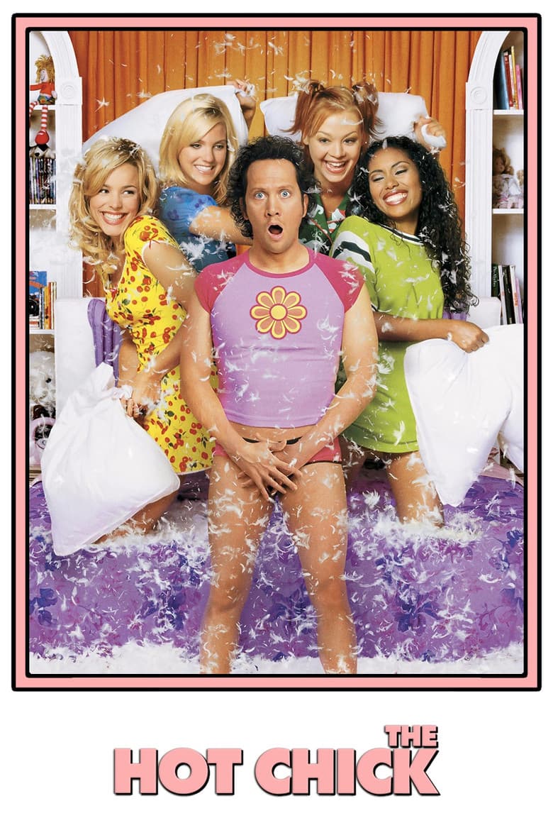 The Hot Chick — posters 8