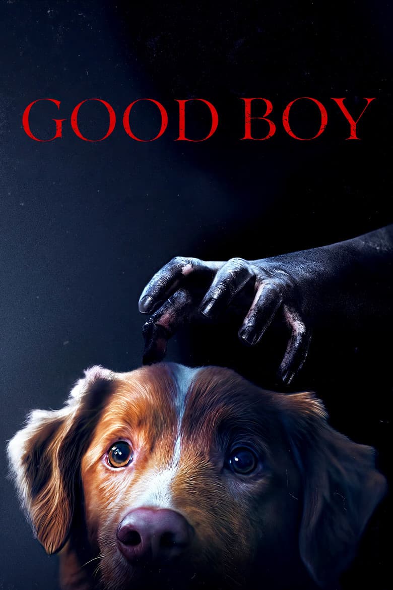 Good Boy — posters 4