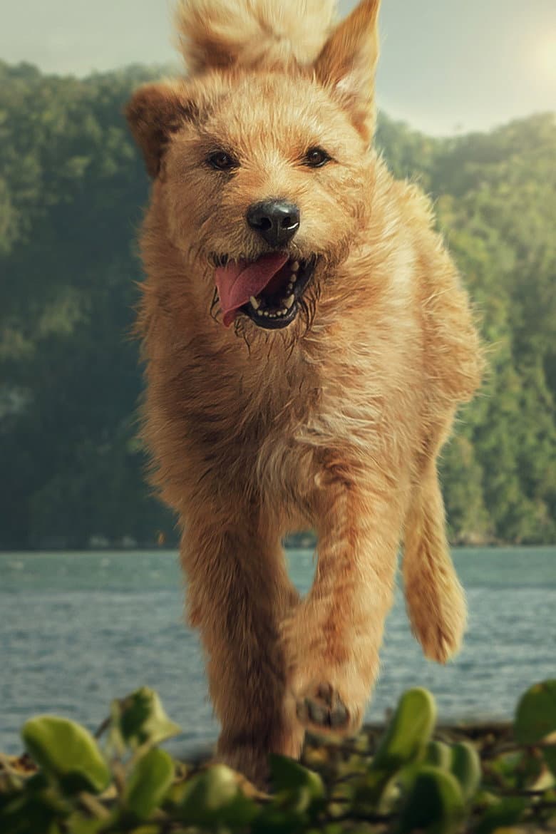 Arthur the King — posters 4