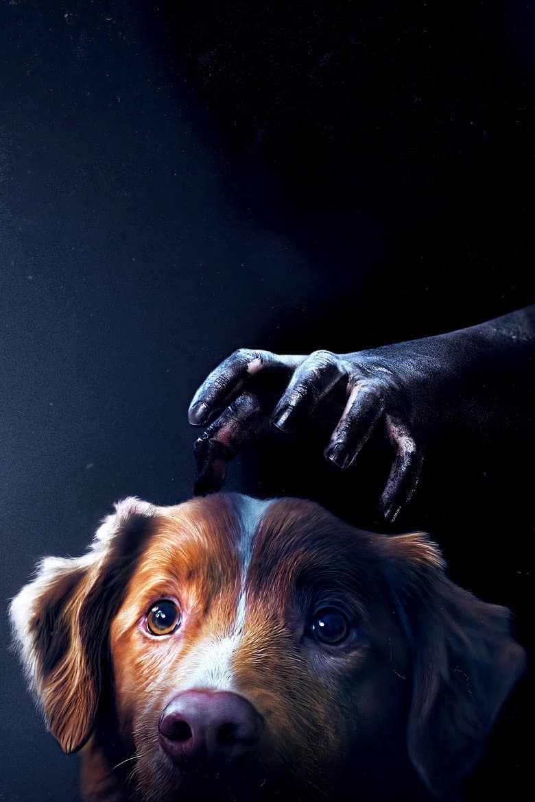 Good Boy — posters 5