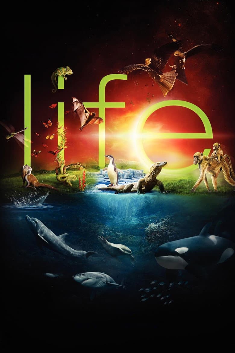 Life — posters 5