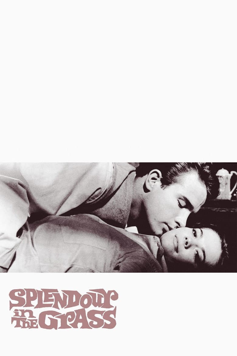 Splendor in the Grass — posters 6