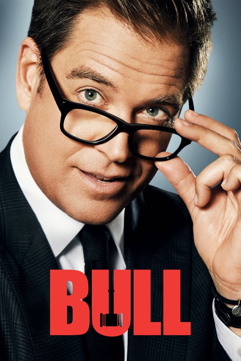 Bull — posters 5