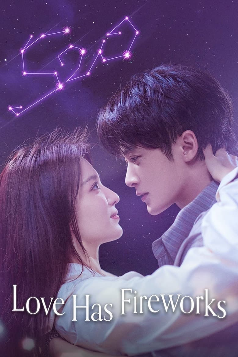 Love Has Fireworks — posters 6