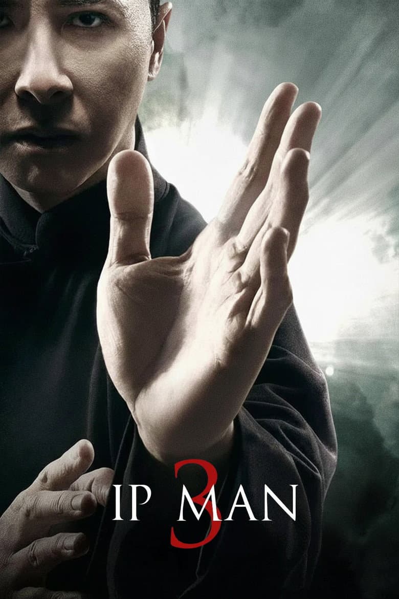 Ip Man 3 — posters 6