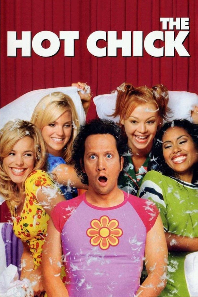 The Hot Chick — posters 4